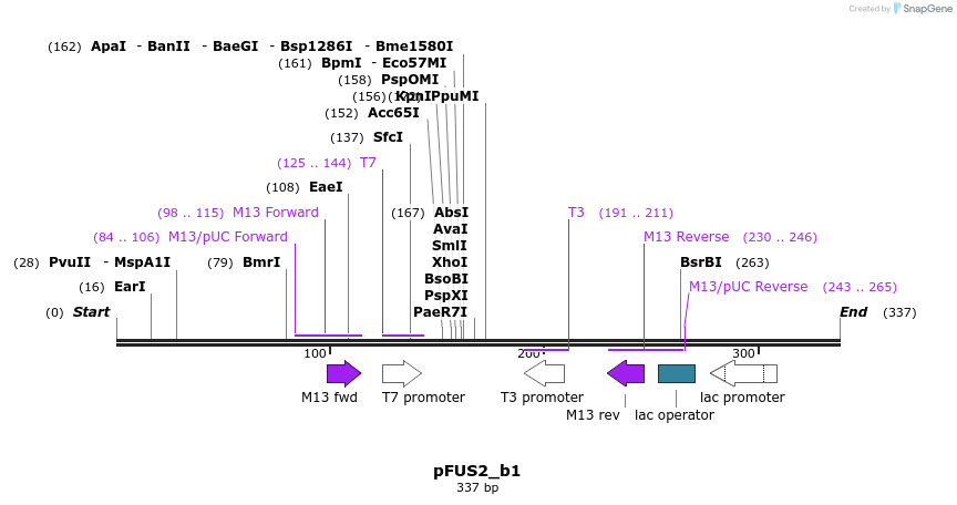 79246_map