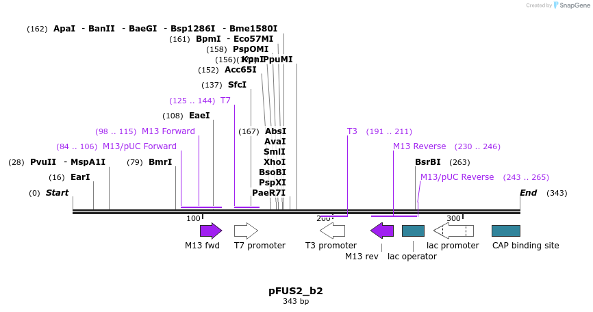 79247_map
