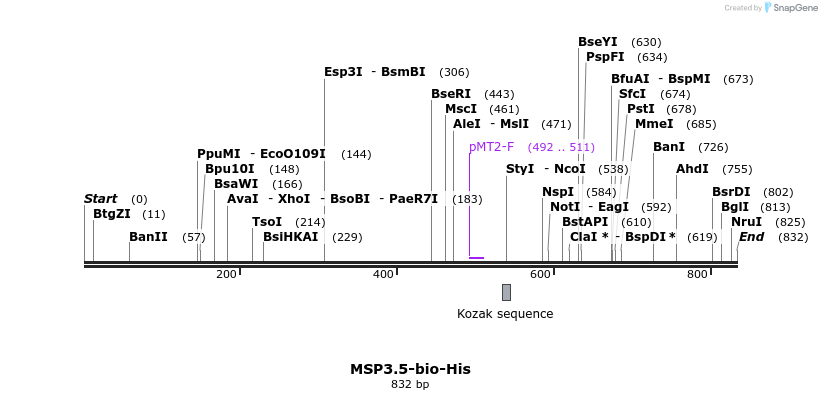 79252_map