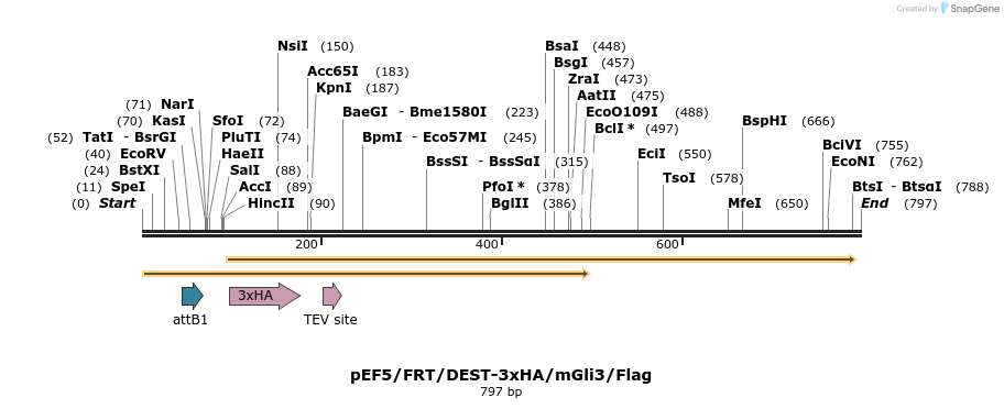 79254_map