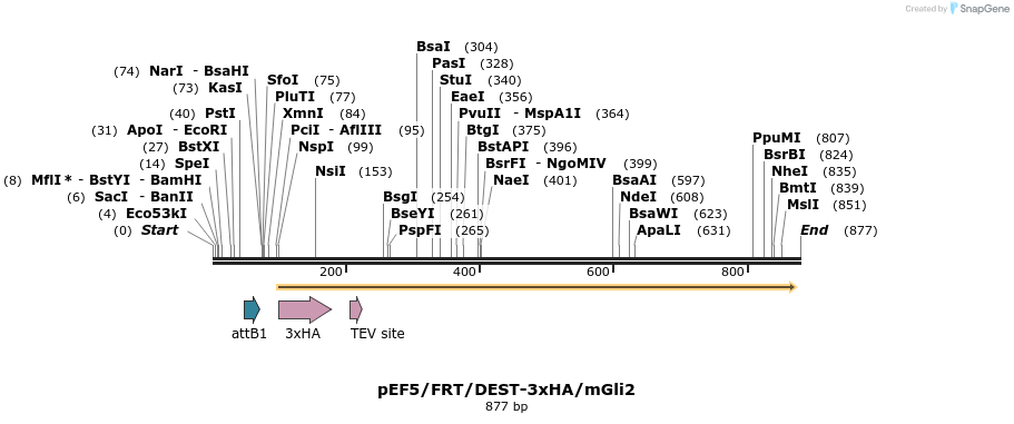 79259_map