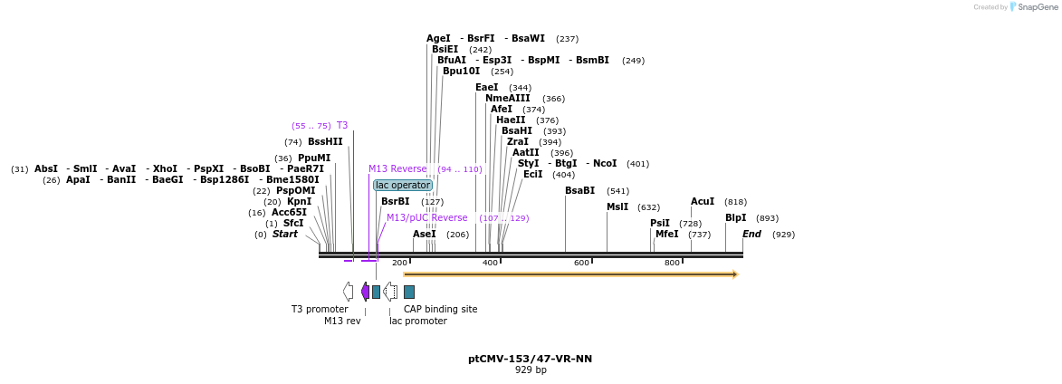 79275_map