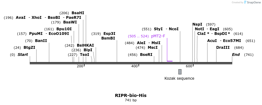 79277_map