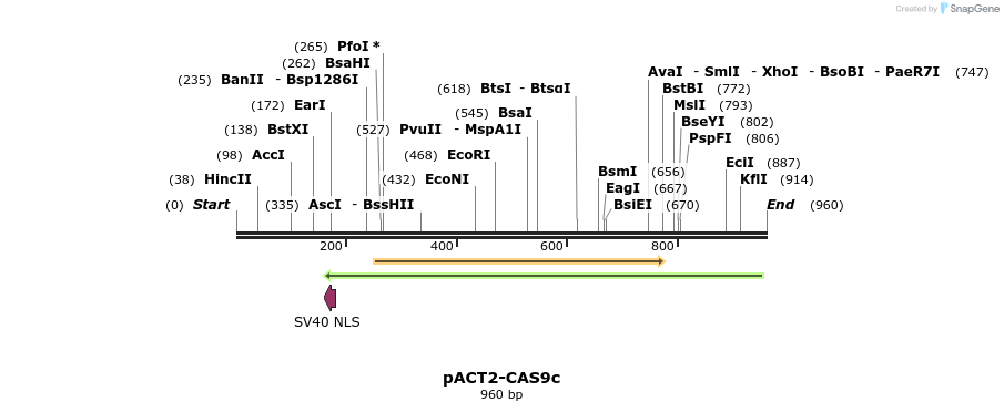 79281_map