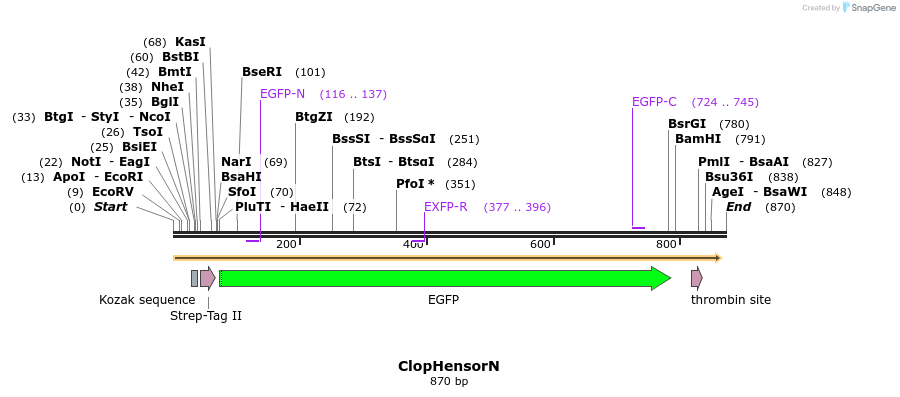 79286_map