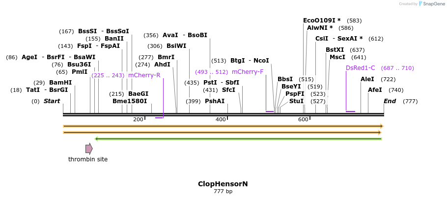 79287_map