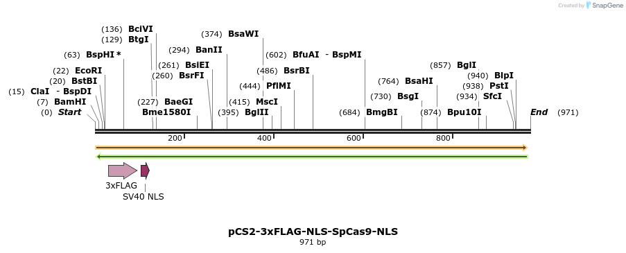 79288_map