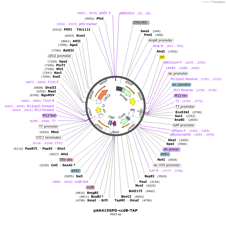 7929_map