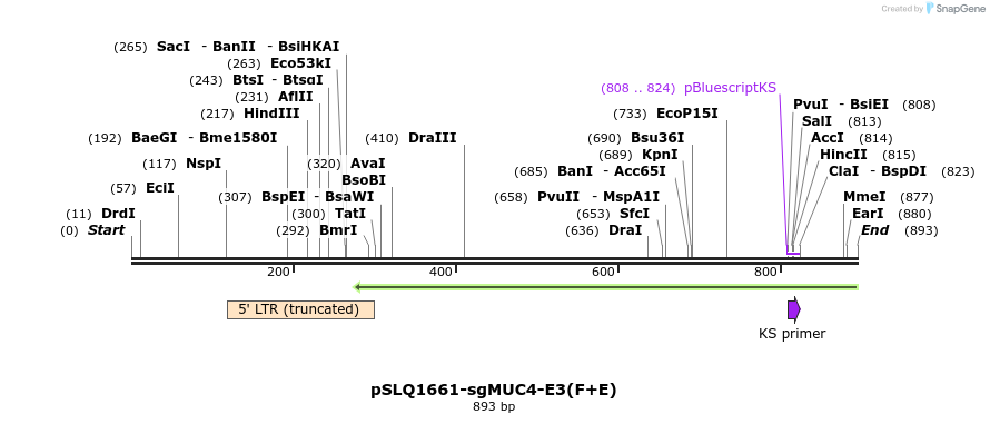 79294_map