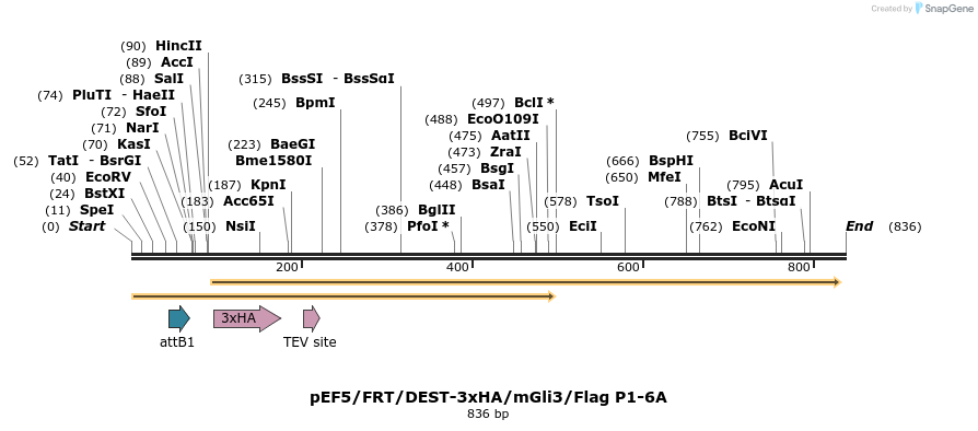 79300_map