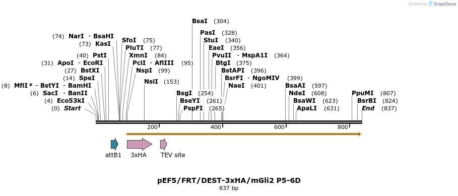 79303_map