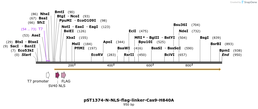 79304_map