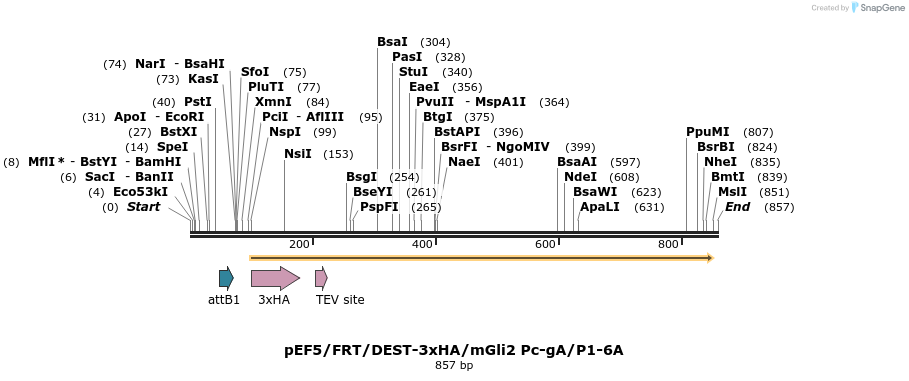 79311_map
