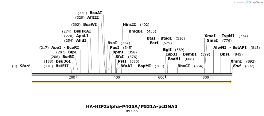 79312_map