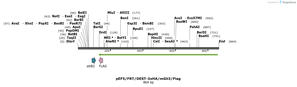 79314_map