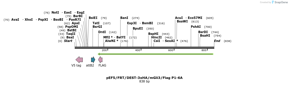 79316_map