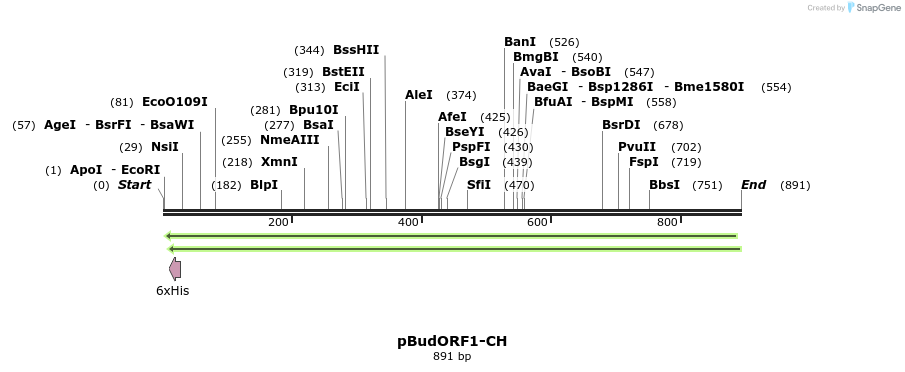 79349_map