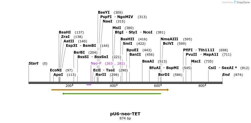 79351_map