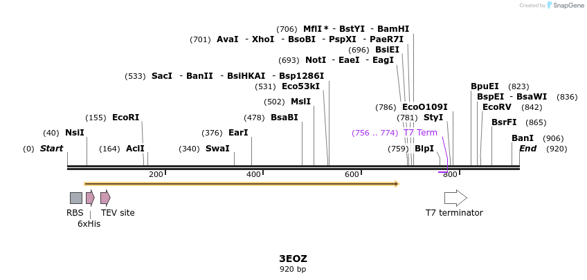79354_map