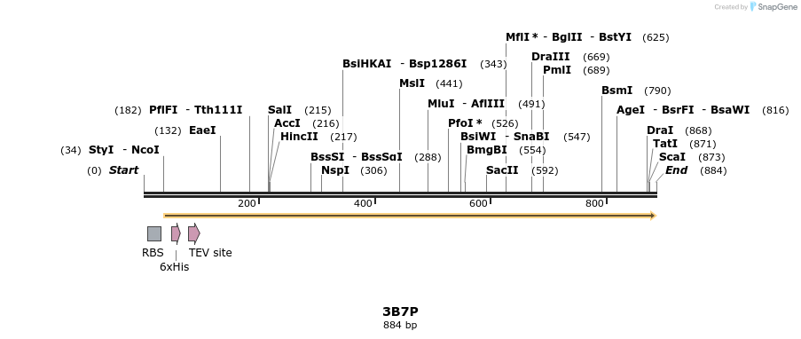 79355_map
