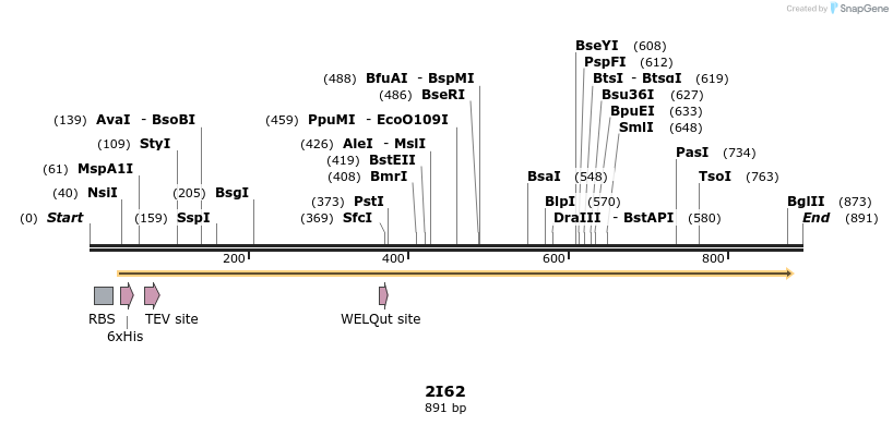 79384_map