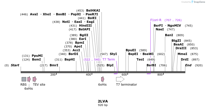 79387_map