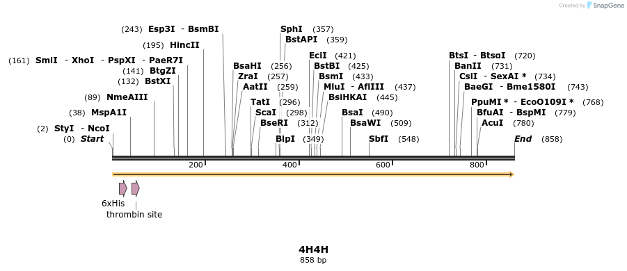79390_map