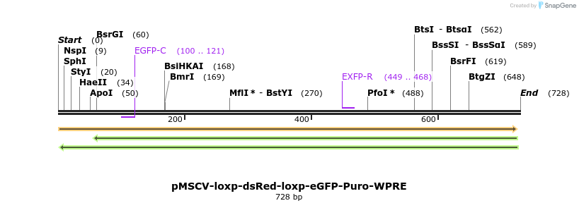 79396_map
