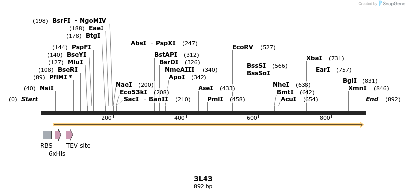 79402_map