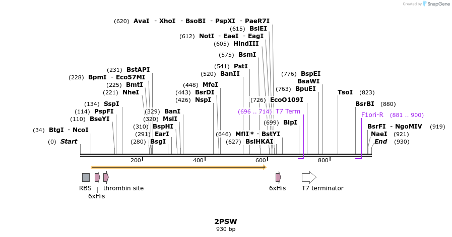 79405_map