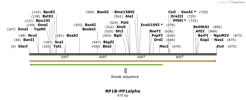 79406_map