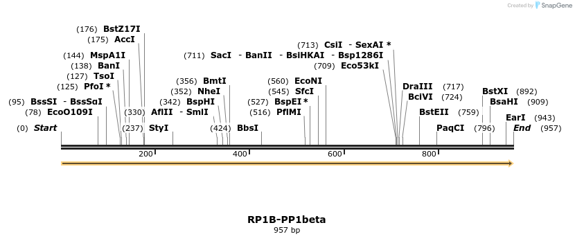 79407_map
