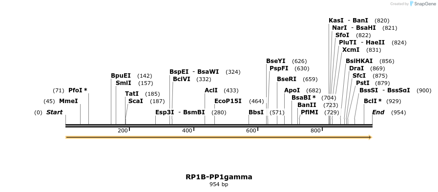 79408_map