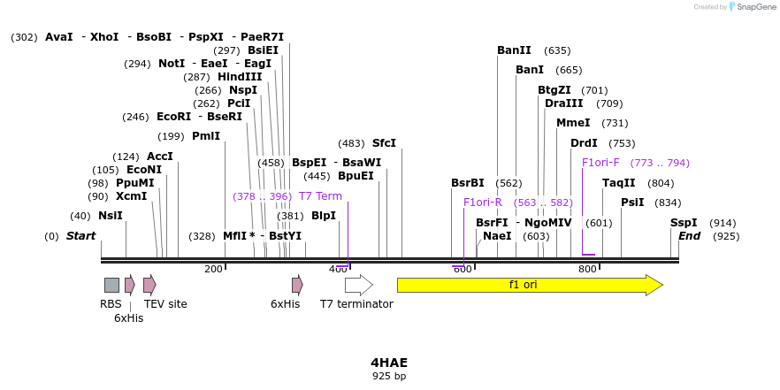 79416_map
