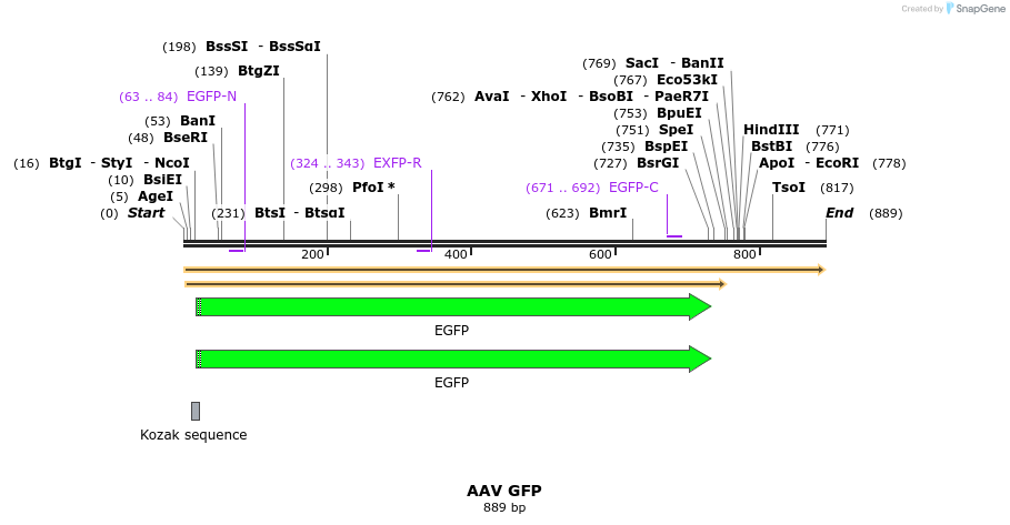 79424_map