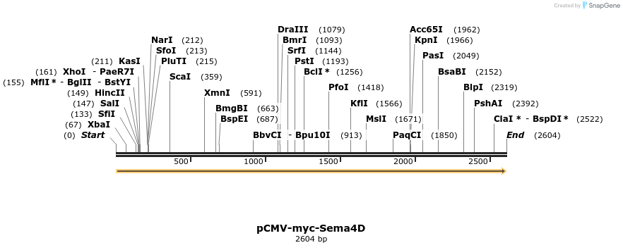 79432_map