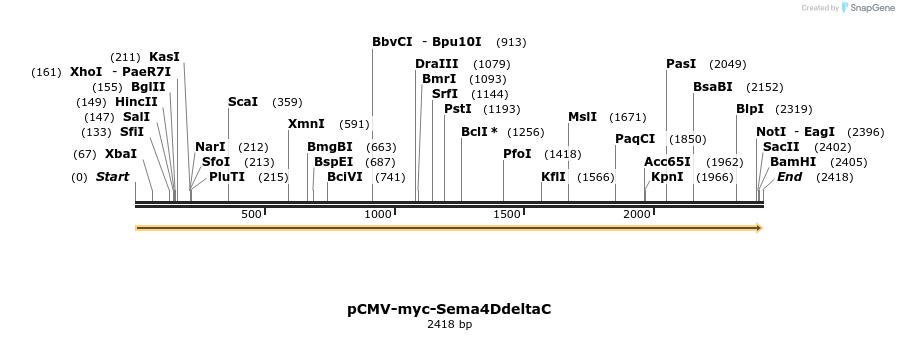 79437_map