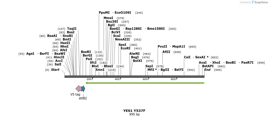 79439_map