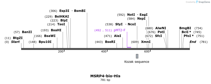 79443_map