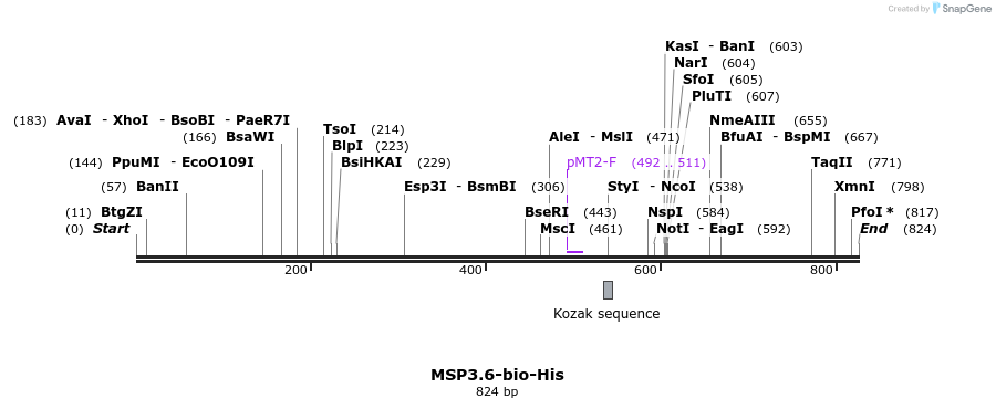 79446_map