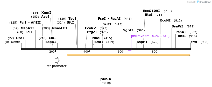 79453_map