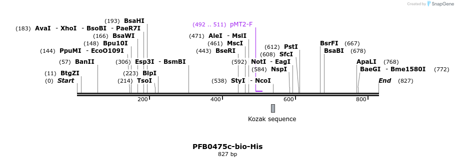 79454_map