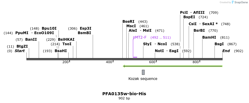 79455_map