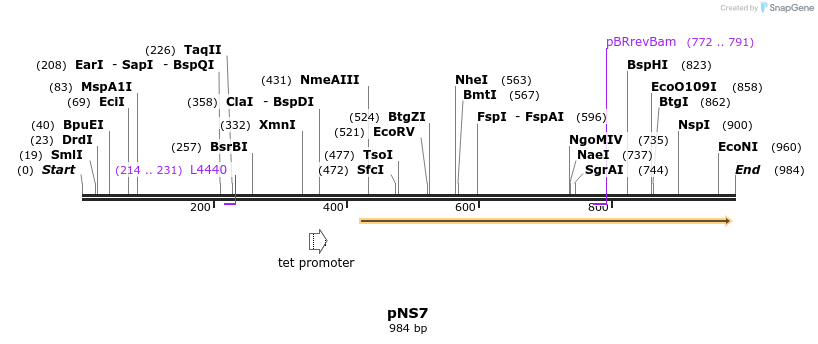 79456_map