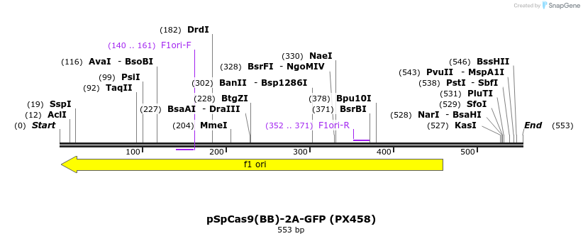 79459_map