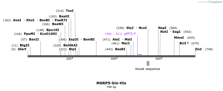 79462_map