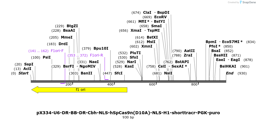 79463_map