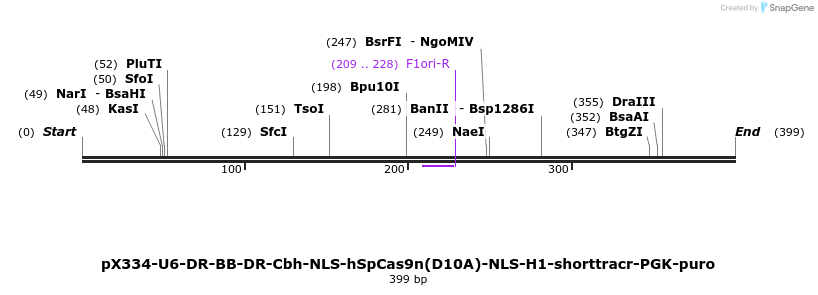 79466_map