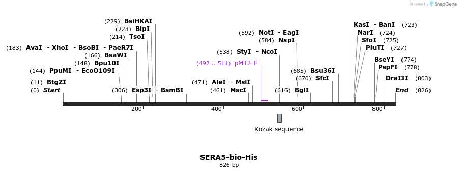 79467_map