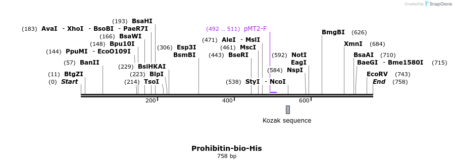 79469_map
